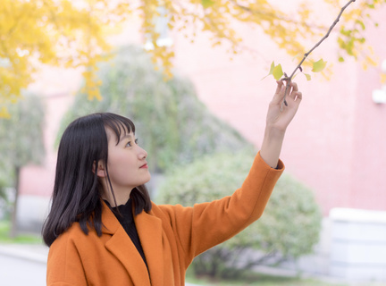 持中国驾照，在菲律宾旅游可以自驾吗